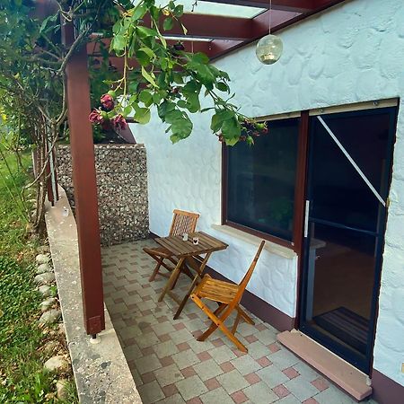 Gemuetliche Wohnung Mit Neckarblick Eberbach  Zewnętrze zdjęcie